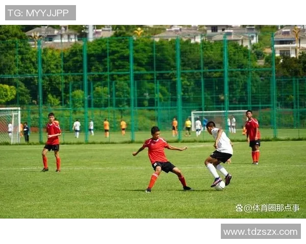 我国少年足球发展现状与未来展望：培养足球人才的战略与挑战分析